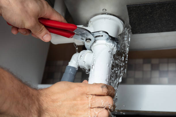 Best Mold removal after water damage  in Slippery Rock University, PA
