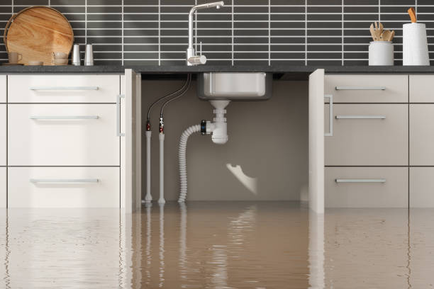 Best Professional water damage repair  in Slippery Rock University, PA