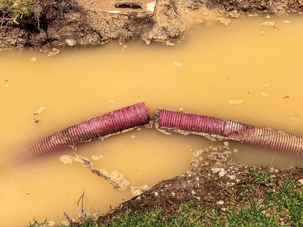 Best Water damage restoration near me  in Slippery Rock University, PA