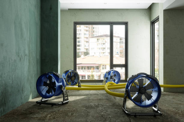 Reliable Slippery Rock University, PA Water damage restoration Solutions