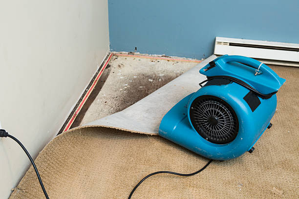 Best Fire Damage Restoration  in Slippery Rock University, PA